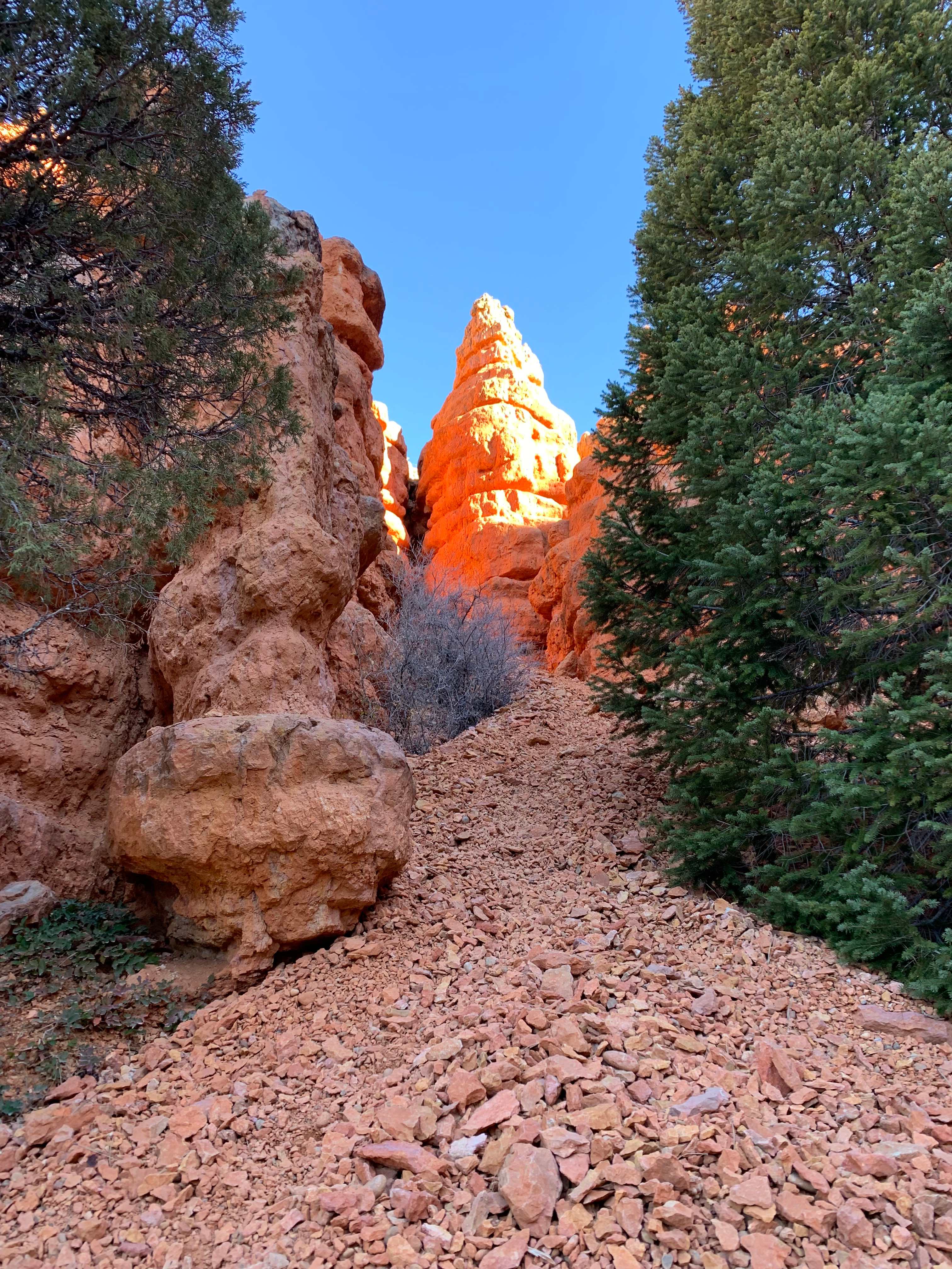 Red Canyon